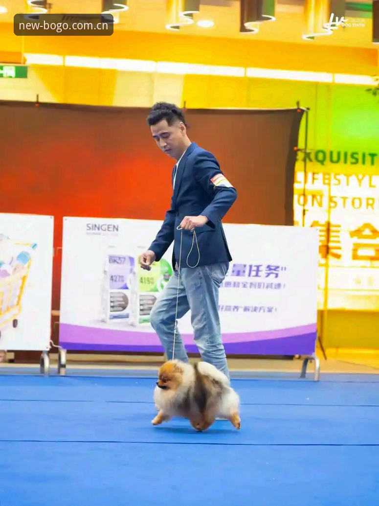 博狗BOGO中文官方站新奇体验最新动态：一场不被套路打扰的赛程追踪